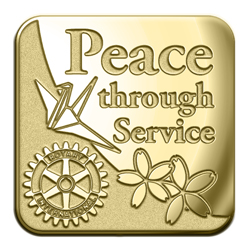 Rotary Theme Pins