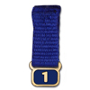 Rotary Numbered Tab suspended from Blue Ribbon