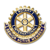 Ribbon Style Gold Plated Senior Active Member Lapel Pin