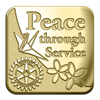 Rotary Gold 2012-2013 Theme Lapel Pin