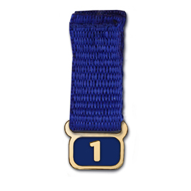 Rotary Numbered Tab suspended from Blue Ribbon