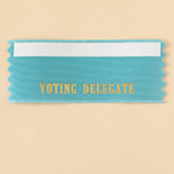 Rotary Voting Delegate