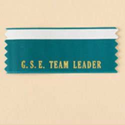 Rotary G.S.E. Team Leader