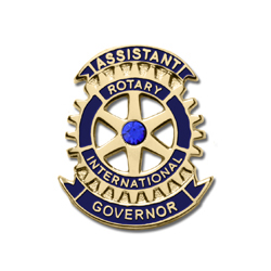 Rotary Assistant Governor Lapel Pin with Synthetic Sapphire