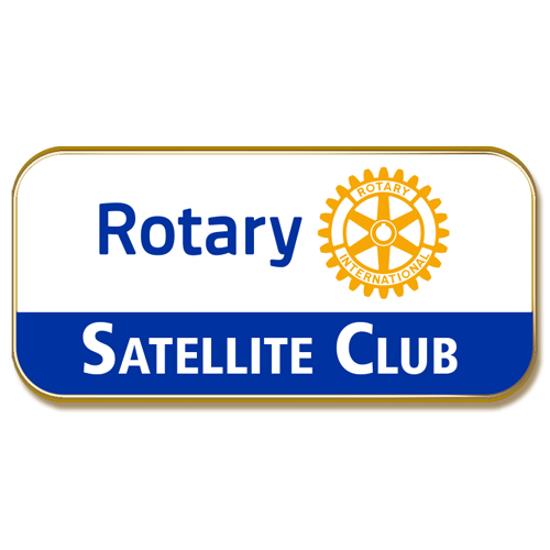 Other Title Pins