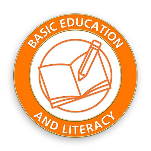 Basic Education -  Areas of  Focus Service Lapel Pin
