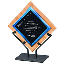 Rotary Bamboo & Iron Multi-Media Acrylic Award