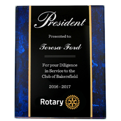 Versatile Acrylic Award -- Wall Hanging or Easel Stand