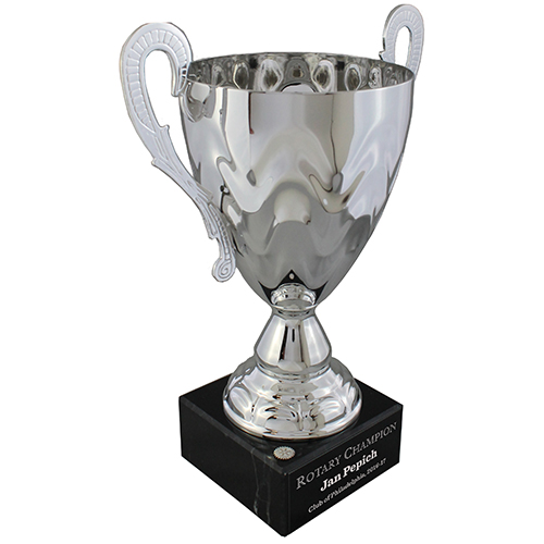 Rotary Unique Awards