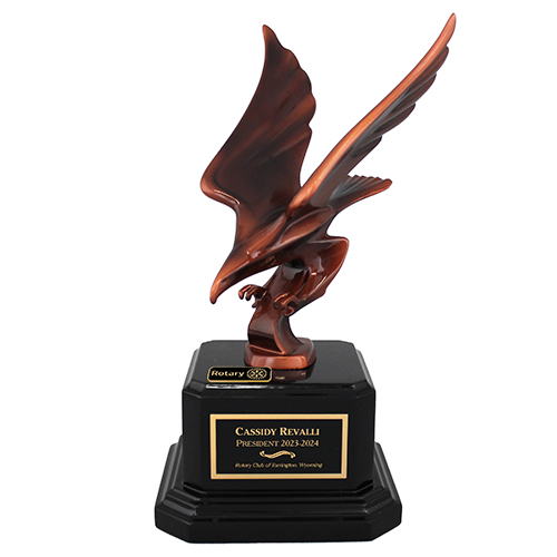 Stricking Eagle Award  6.5