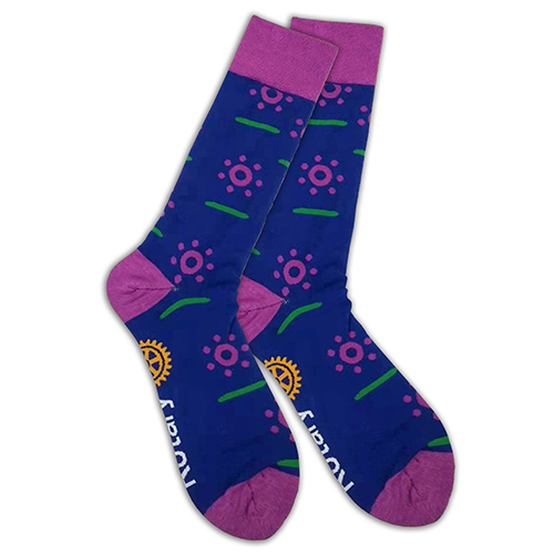 Rotary Pair of '22-'23  President's Theme Socks
