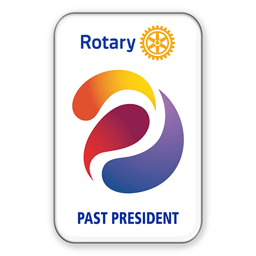 Rotary 2023-24 Theme Officer Pin - Past President