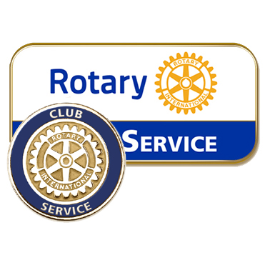 Avenue of Service Pins